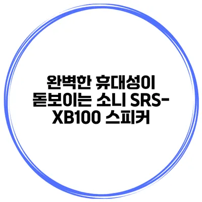 완벽한 휴대성이 돋보이는 소니 SRS-XB100 스피커