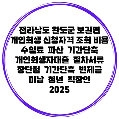 전라남도 완도군 보길면 개인회생 신청자격 조회 비용 수임료 | 파산 | 기간단축 | 개인회생자대출 | 절차서류 | 장단점 | 기간단축 | 변제금 미납 | 청년 | 직장인 2025