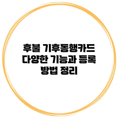 후불 기후동행카드 다양한 기능과 등록 방법 정리